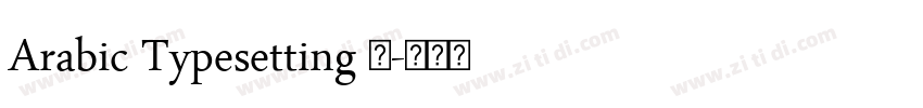Arabic Typesetting 普字体转换